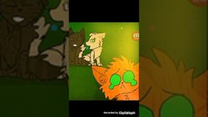 Топ 5 не каноных пар по Котам-Воителям!!!!😺😺😺😺