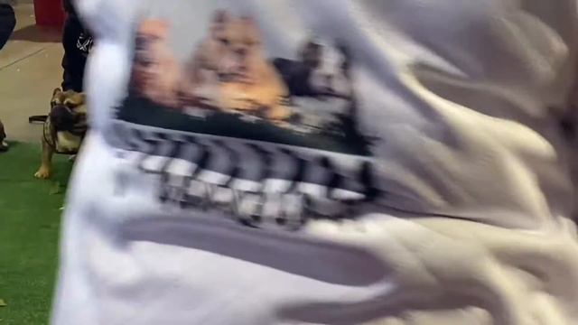 American Bully Show | Columbus Bully Rose Bowl смотреть онлайн