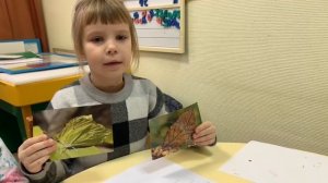 Мимикрия для дошкольников