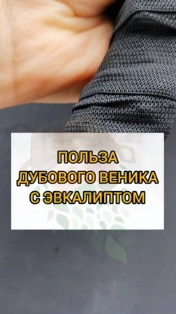 ПОЛЬЗА ДУБОВОГО ВЕНИКА С ЭВКАЛИПТОМ В БАНЕ🍃#веникидлябани #длябани #баня #здоровье #банька эвкалипт