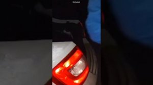 8 крошечных щенят выбросили на помойку в заброшенном СНТ под Москвой