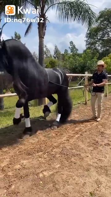 28 de dezembro de 2021 смотреть онлайн