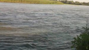 Рыбалка в Харабалях. Астраханская область. Вываживаю хорошего белого амура.