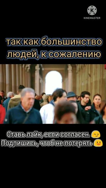 #общественноемнение #идиоты #мнение #цитатысосмыслом #цитаты #цитата #умныемысли