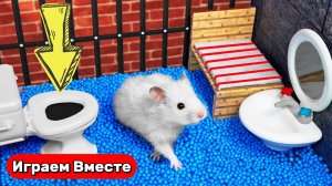 🐹 Хомяк выбирается из СЕКРЕТНОЙ ТЮРЬМЫ с шариками и ЛОВУШКАМИ ! Видео для детей