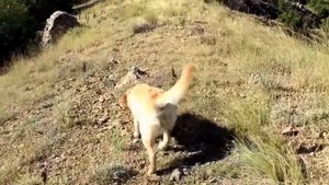 Спуск 3 часть)