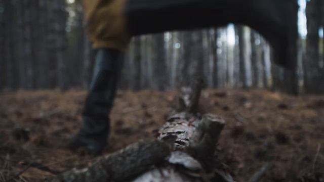 Мирошников Яромир. История России в стихах смотреть онлайн