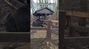 Сашка в Царьграде УС😝 2 день