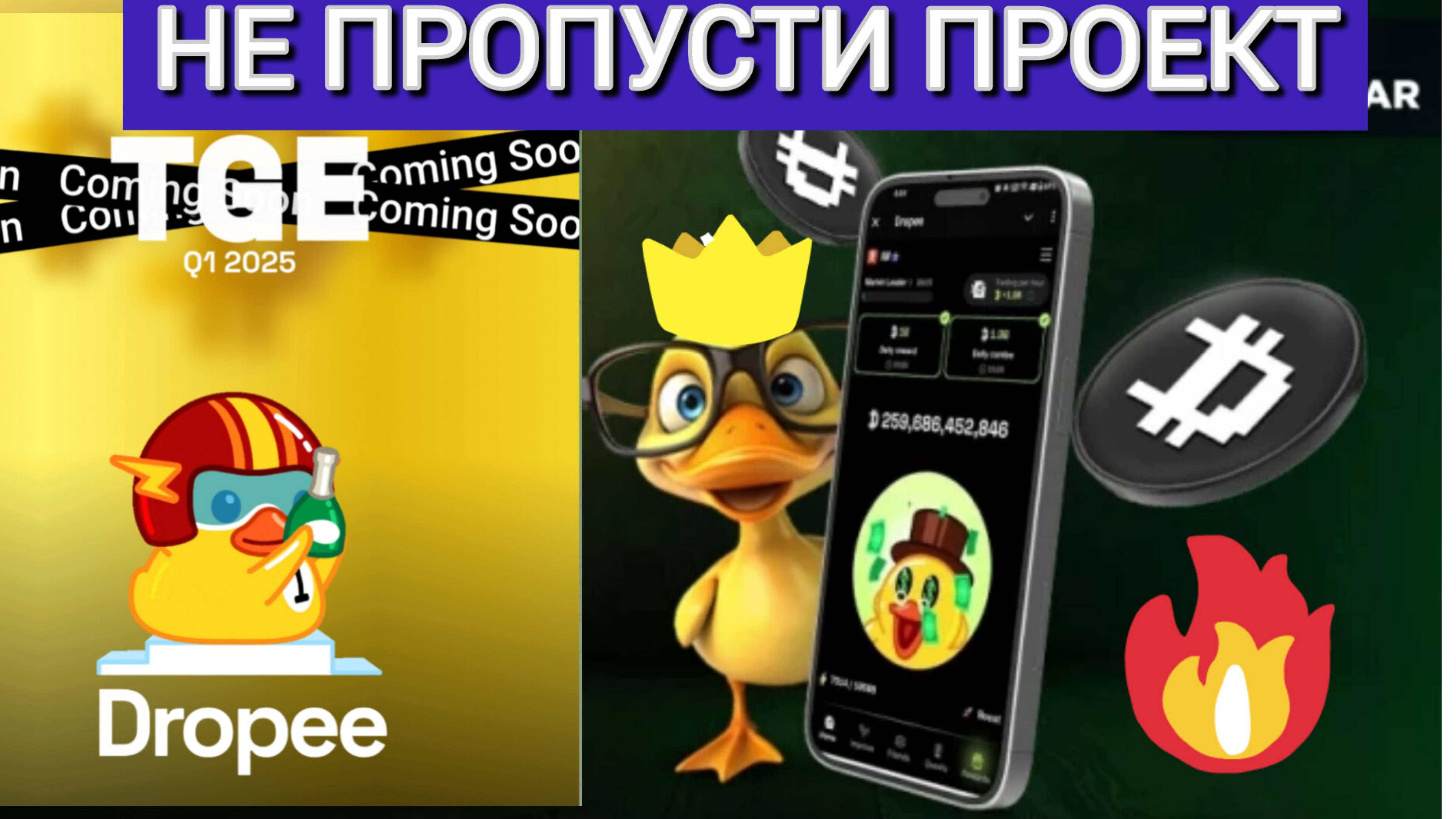 💥Dropee💥ЛИСТИНГ💣ПОЛНЫЙ ОБЗОР ПРОЕКТА.ГДЕ ЗАРАБОТОК?