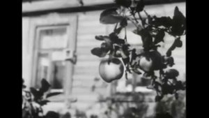 Motorama — Above The Clouds (Official Video)