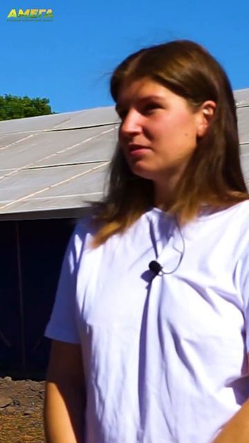 Фермерство в Тульской области: какое оно? #shorts смотреть онлайн