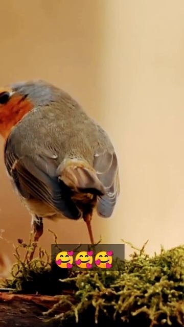 #short смотреть онлайн