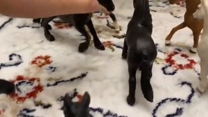 Лошади Шляйх Сериал похищение 1 Часть 1  сезона￼￼