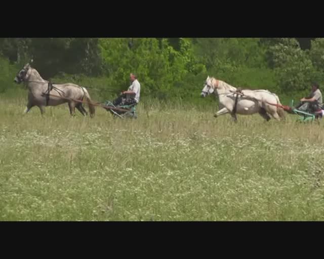 Сабантуй-2018 - часть 8 из 11 смотреть онлайн
