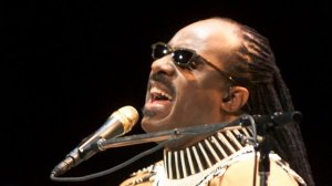 Stevie Wonder - I Just Called To Say I Love You (Remix)