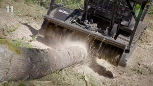 Опаснейшие Экстремально Огромные Бензопилы Для Резки Деревьев, Шок Гарантирую!