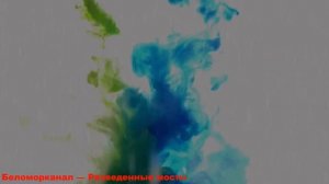 Беломорканал — Разведенные мосты