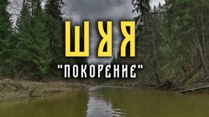 Шуя Костромская. Апрель 2024 года