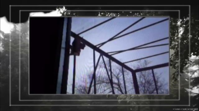 Вампиры существуют / vampires exist смотреть онлайн