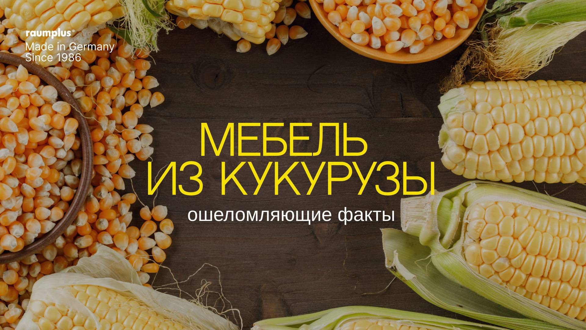 Мебель из кукурузы, ошеломляющие факты! смотреть онлайн