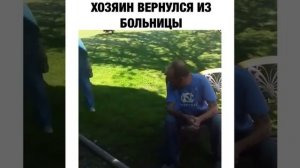 Собака не узнала хозяина