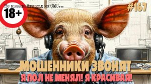 Веселая подборка разговоров с мошенниками | Операторы, соседи, губа, курьеры и просто дуры