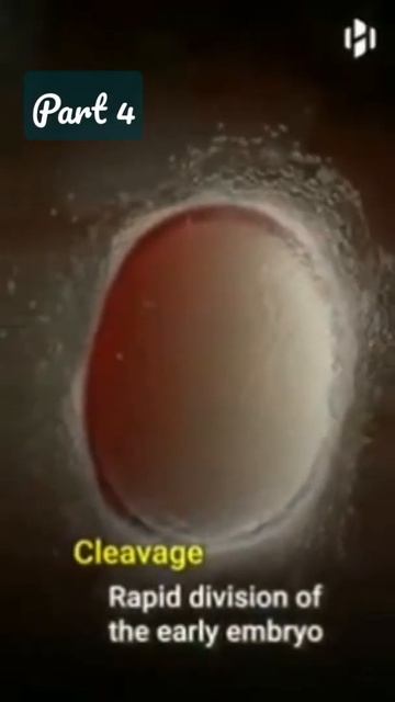 Birth process part 4 || Human reproduction|| Biology