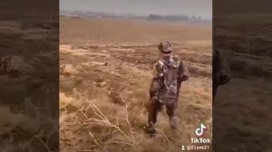 Охота с ястребом #перепелятник 🤘🤘🤘 pigeon hunting with a hawk #shorts