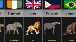 National Animals From Different Countries