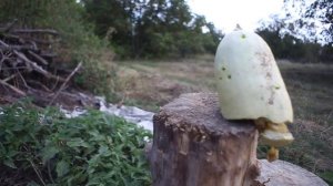 Сельская жизнь