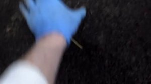 Динетта, обзор ящика.