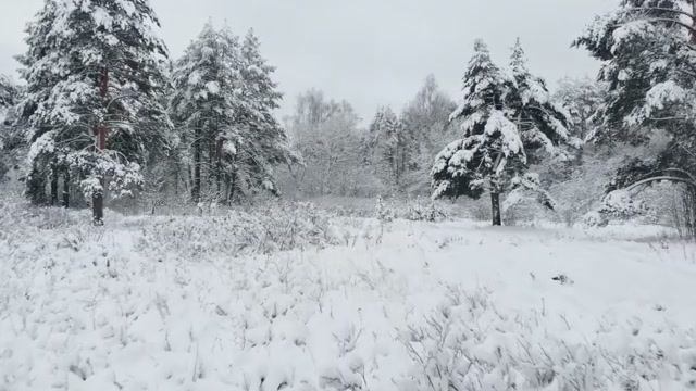 Финляндия - северная страна!...
