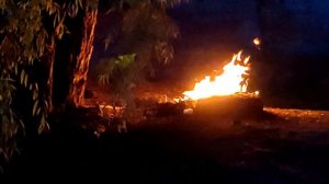 Дети перемен 1 - 8 серия | Драма | Премьера 2024 | Обзор