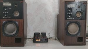 Акустическая система Радиотехника 35ас-1.        Может всё!