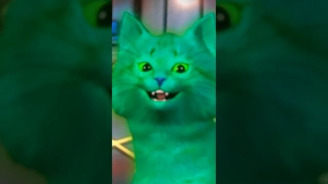 Кошка Лана Кот Леонард Вёселий Кот Котёнок Зеленка Котёнок Лайк  Кот Саня Кошка Апельсинка