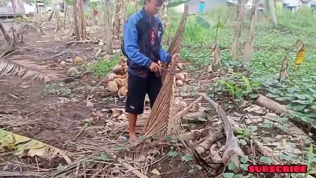 Cara Membuat Perangkap Ikan Kecil Dengan Botol Bekas //Sniper banua channel смотреть онлайн