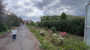 Садовый центр Плодовое Тюмень иголки динозавра и бедная бабушка #тюмень #тюменьплодовое