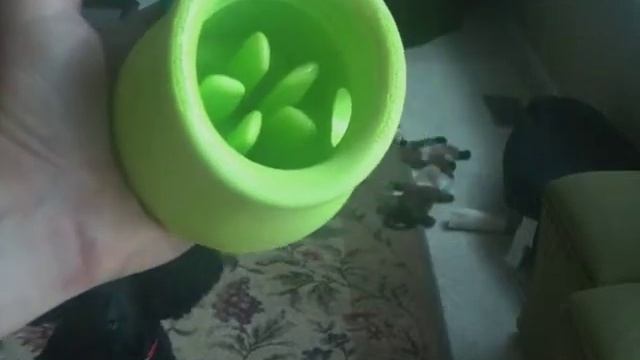 Review West Paw Design Zogoflex Toppl Interactive dog toy смотреть онлайн