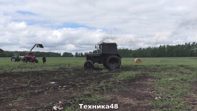 Трактор-шоу на Беларусах! Ростовские гонщики трек-шоу Бизон приехали в Липецкую область