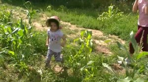 Муха улетела!