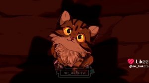 Когтишка коты воители