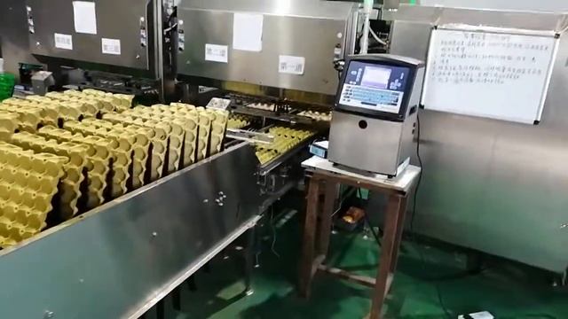Semi-automatic packing machine