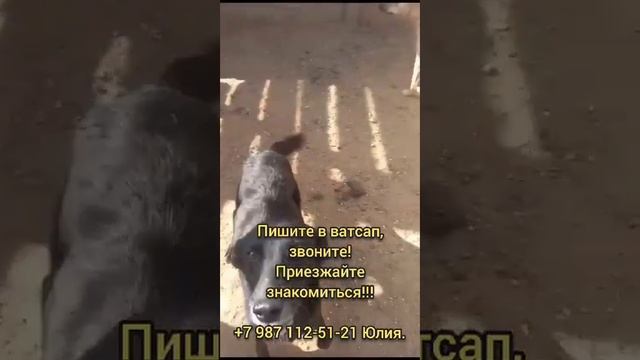 вывоз состоялся!