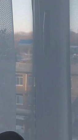 Может до зимы следующей оставить