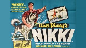 Дикий пес Севера / Nikki, Wild Dog of the North   1961