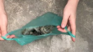КАК ПРИГОТОВИТЬ МОЙВУ В ДУХОВКЕ С КОРОЧКОЙ? Очень вкусная, в кукурузной муке, на пергаментной бумаг