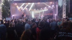 Роковой год -Голубь (Сектор газа кавер)