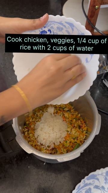 One pot chicken rice for dog #dog #dogfood #dogfooding #doghealth #dogfoodrecipe #dogrecipes смотреть онлайн