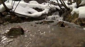 трейлер фильма "ДИКАЯ ПРИРОДА ВЕНГРИИ" - XIV Московский международный кинофестиваль ВЕРТИКАЛЬ-2011