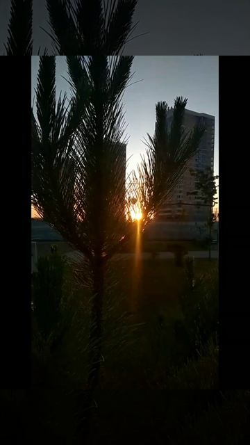 #мирногонеба #мода для #бабушки #танцы #собаки #закат смотреть онлайн